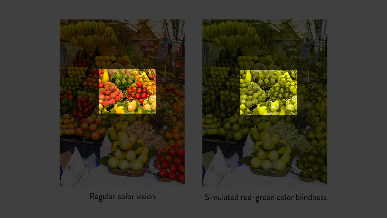 Course image for Understanding the Role of Color in Accessibility.